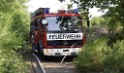 Waldbrand Koeln Hoehenhaus Hoehenfelder Mauspfad P056